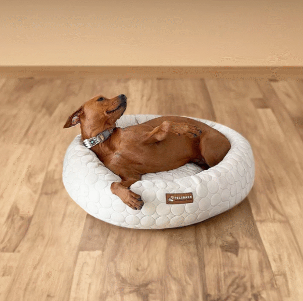 Cama Acolchada Antiestrés para Perros y Gatos